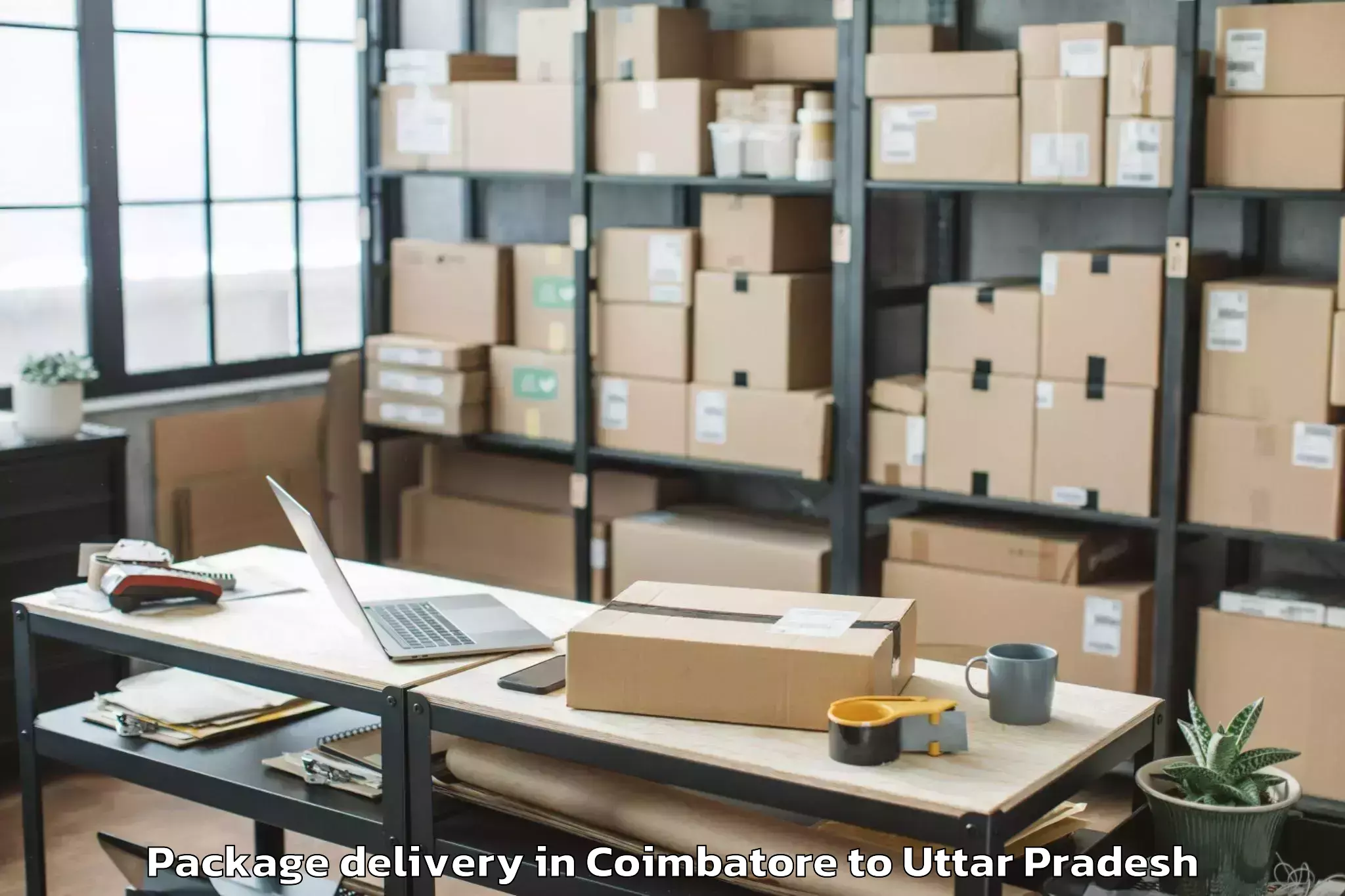 Top Coimbatore to Bareli Airport Bek Package Delivery Available